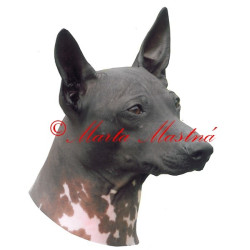 Samolepka americký bezsrstý teriér