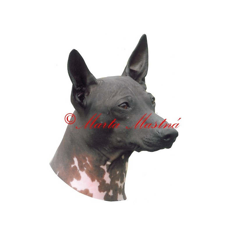 Samolepka americký bezsrstý teriér