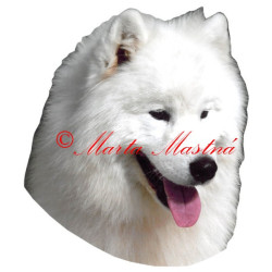 Samolepka samojed