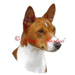 Samolepka basenži, basenjí