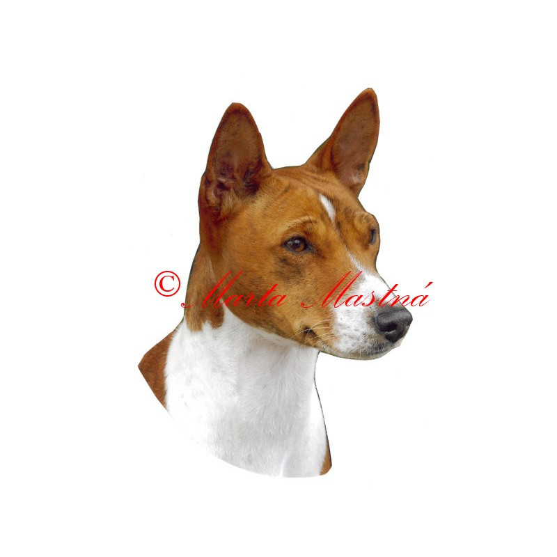 Samolepka basenži, basenjí