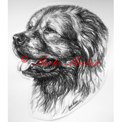 Kavkazský pastevecký pes