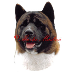 Samolepka americká akita