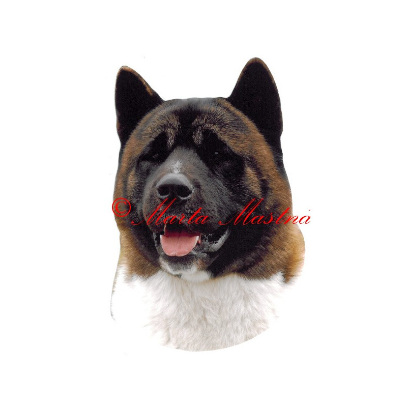 Samolepka americká akita