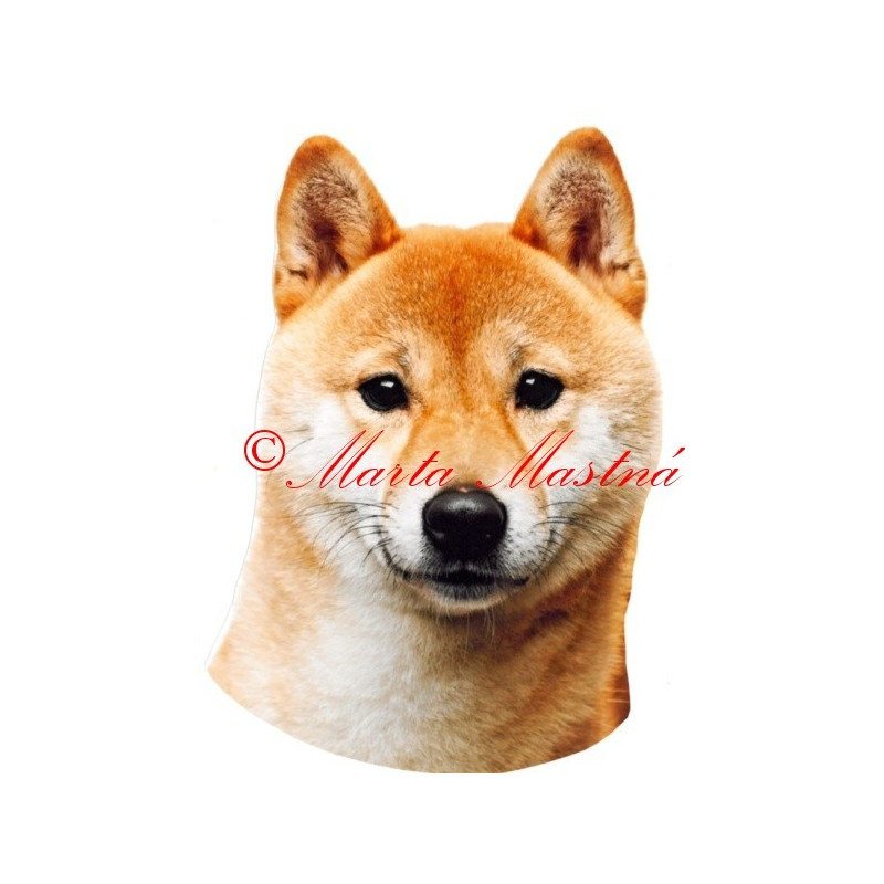 Samolepka šiba, shiba inu