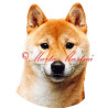 Samolepka šiba, shiba inu