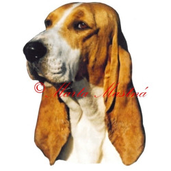 Samolepka švýcký honič