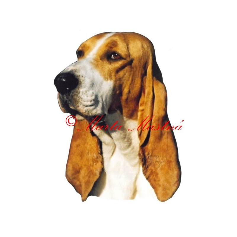 Samolepka švýcký honič