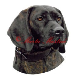 Samolepka barvář hannoverský