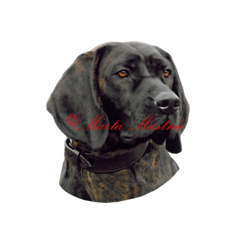 Samolepka barvář hannoverský