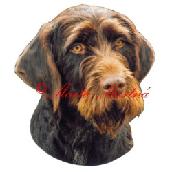 Samolepka český fousek, ohař