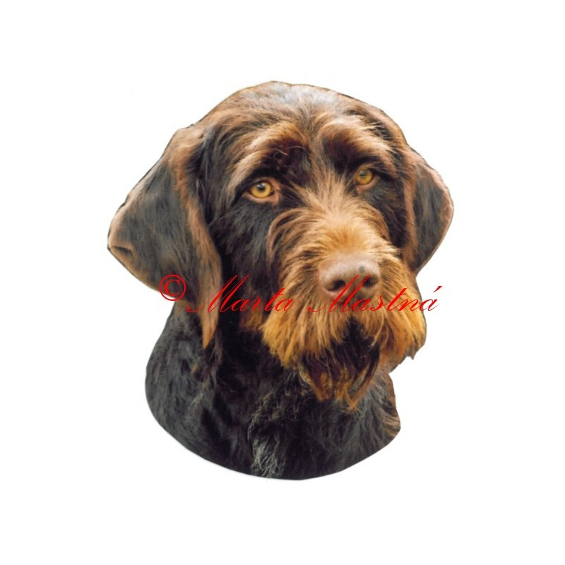 Samolepka český fousek, ohař