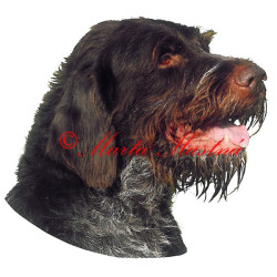 Samolepka český fousek, ohař