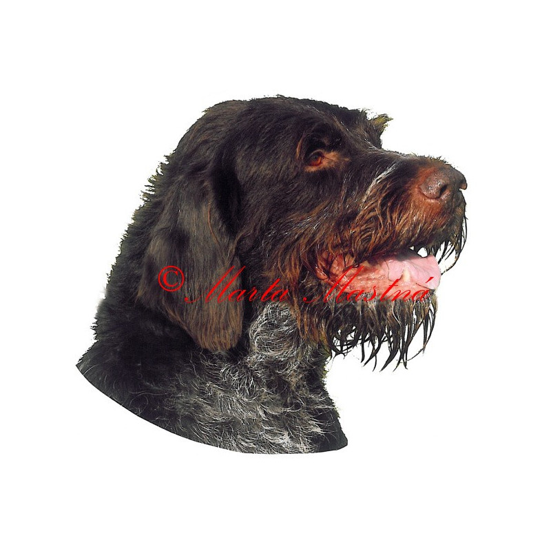 Samolepka český fousek, ohař