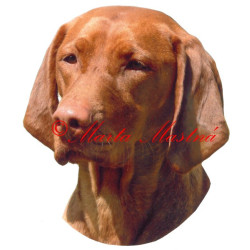 Samolepka maďarský ohař, vyžla