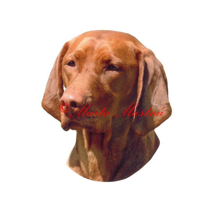 Samolepka maďarský ohař, vyžla