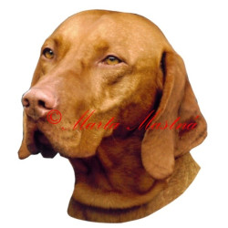 Samolepka maďarský ohař, vyžla