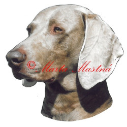 Samolepka výmarský ohař