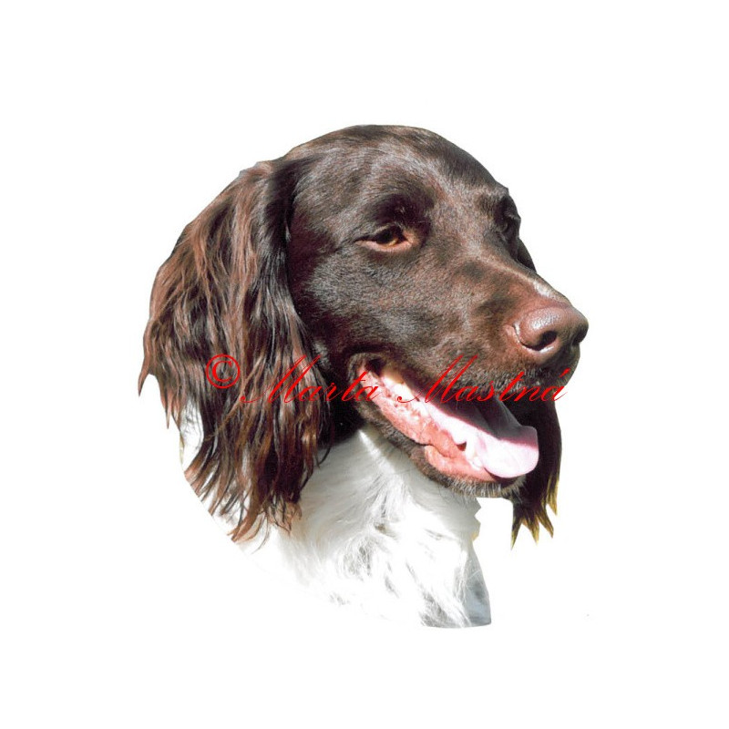 Samolepka malý münsterlandský ohař