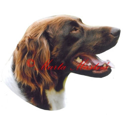 Samolepka malý münsterlandský ohař