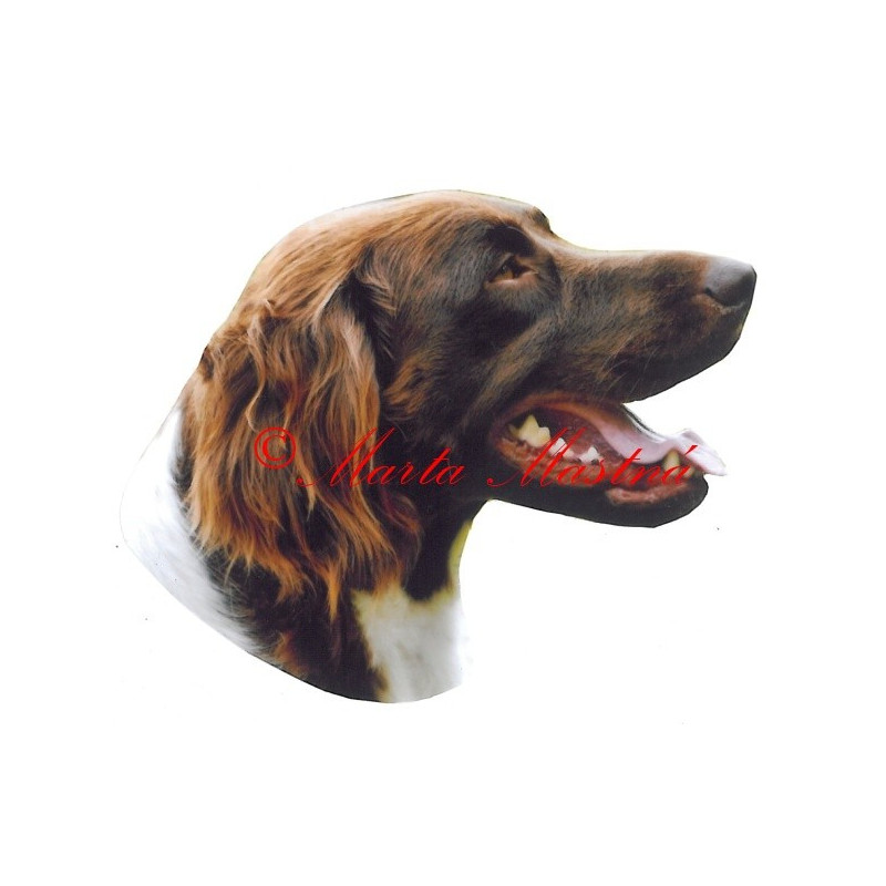 Samolepka malý münsterlandský ohař