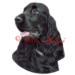 Samolepka kokršpaněl