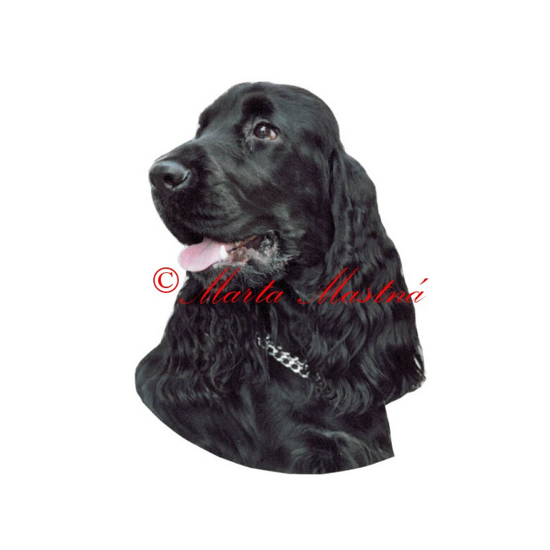 Samolepka kokršpaněl