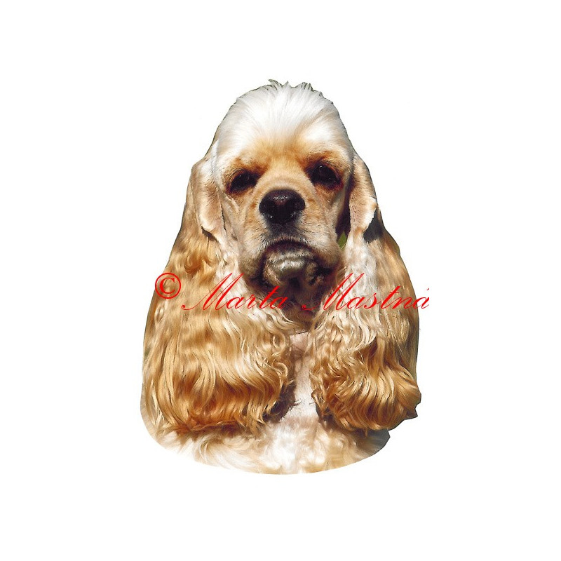 Samolepka americký kokršpaněl