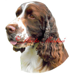 Samolepka špringršpaněl