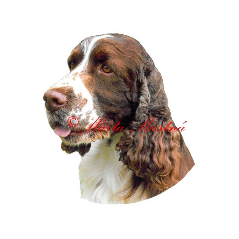 Samolepka špringršpaněl