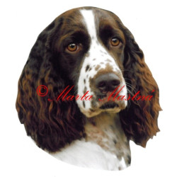 Samolepka špringršpaněl