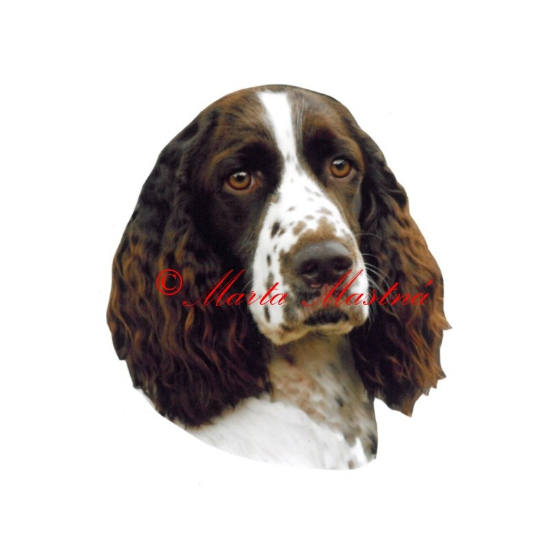 Samolepka špringršpaněl