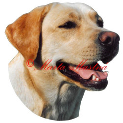 Samolepka labrador retrívr
