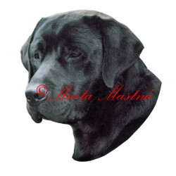 Samolepka labrador retrívr