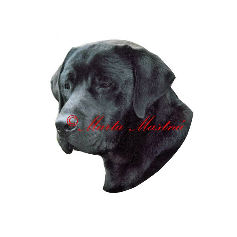 Samolepka labrador retrívr