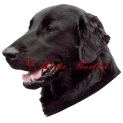 Samolepka flat coated retrívr