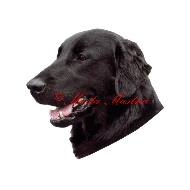 Samolepka flat coated retrívr