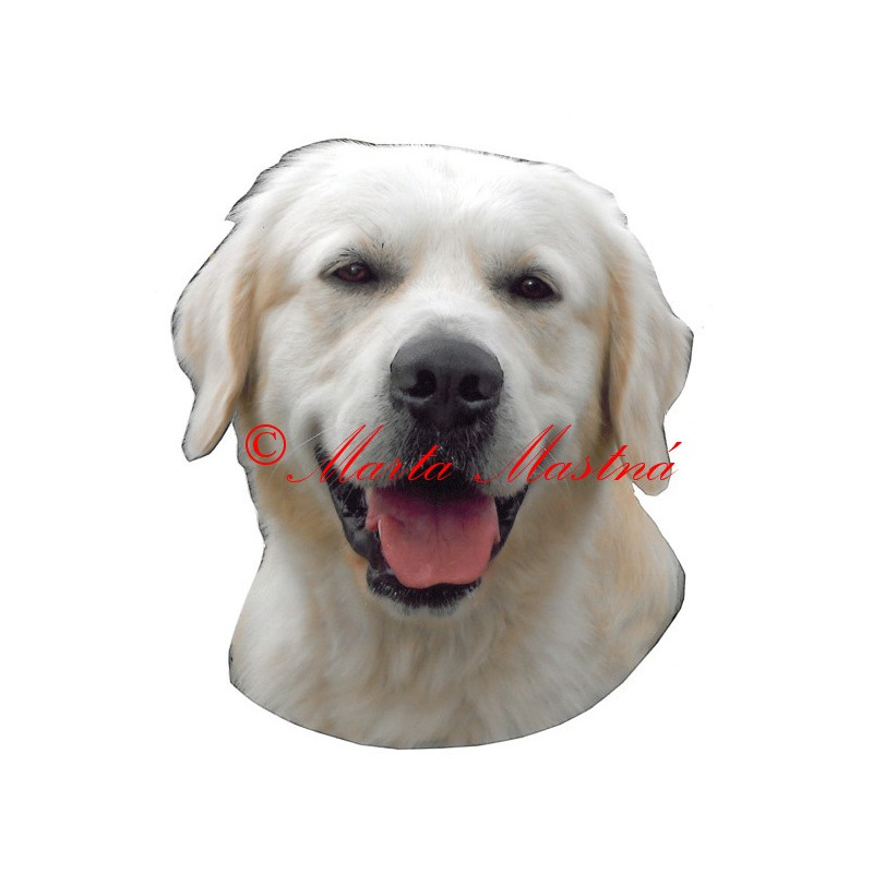 Samolepka zlatý retrívr, golden