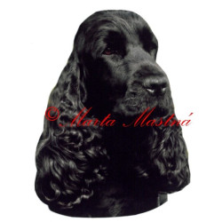 Samolepka kokršpaněl