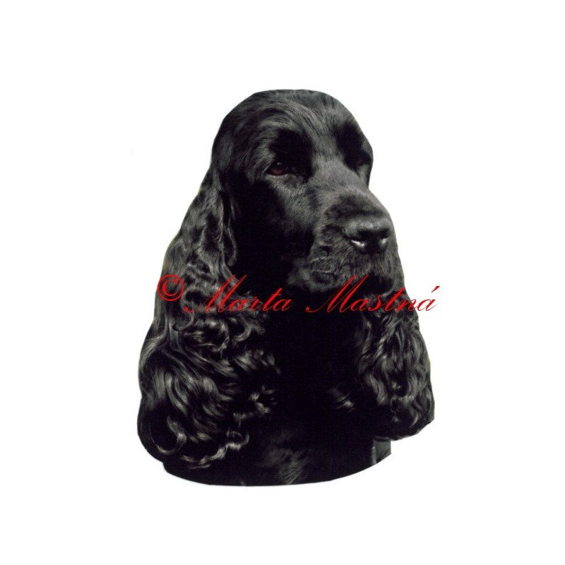 Samolepka kokršpaněl