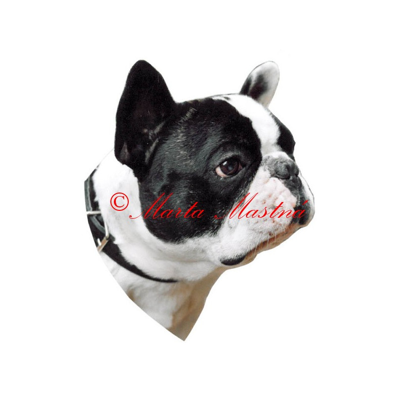 Samolepka francouzský buldoček