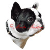 Samolepka francouzský buldoček