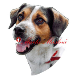 Samolepka český strakatý pes