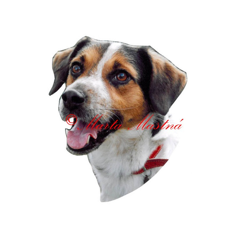 Samolepka český strakatý pes