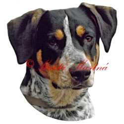 Samolepka český strakatý pes