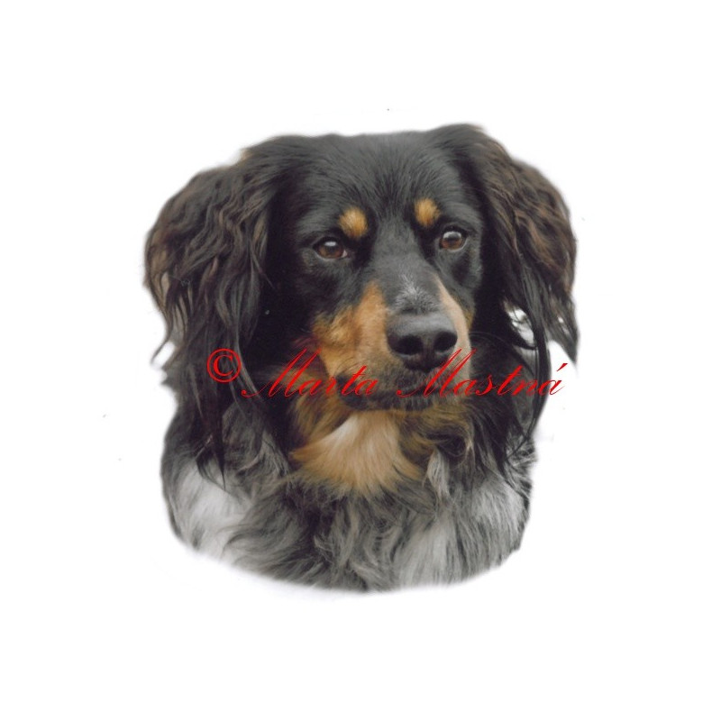 Samolepka český strakatý pes