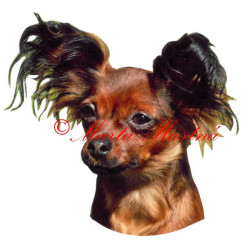 Samolepka ruský toy