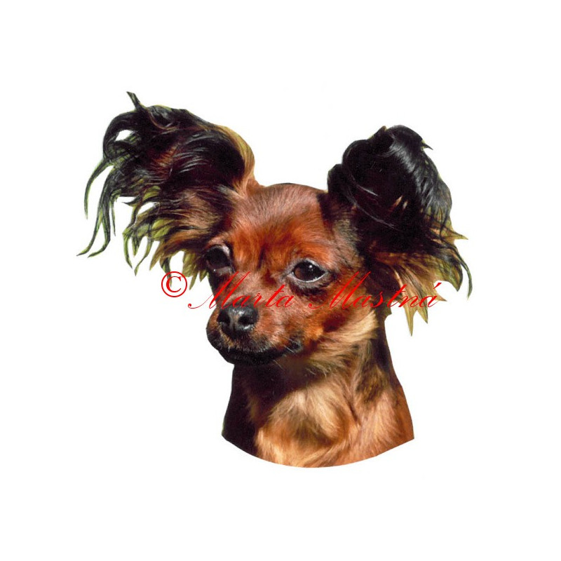 Samolepka ruský toy