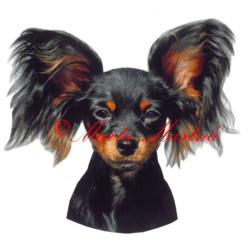 Samolepka ruský toy