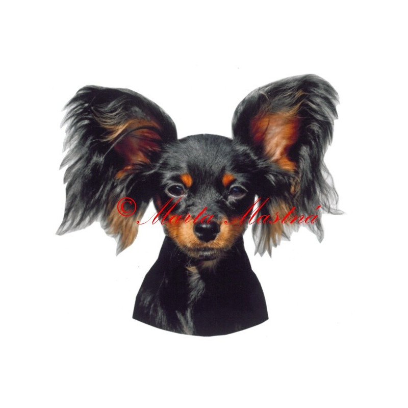 Samolepka ruský toy